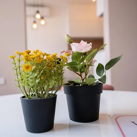 Skyline * סראייבו