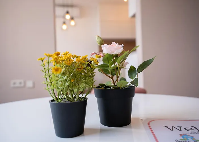 Skyline * 塞拉耶佛