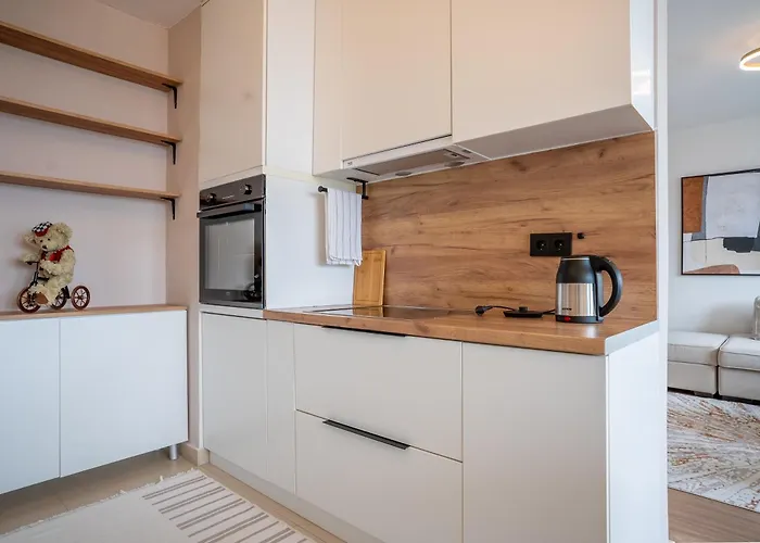 公寓 Skyline 塞拉耶佛